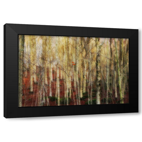 The Forest Of Ghosts Black Modern Wood Framed Art Print by Martini, Francesco