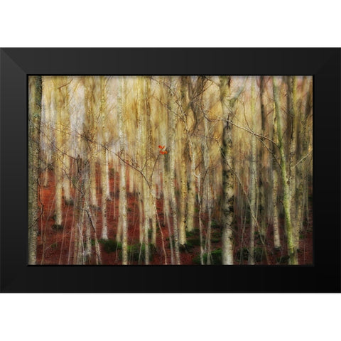 The Forest Of Ghosts Black Modern Wood Framed Art Print by Martini, Francesco