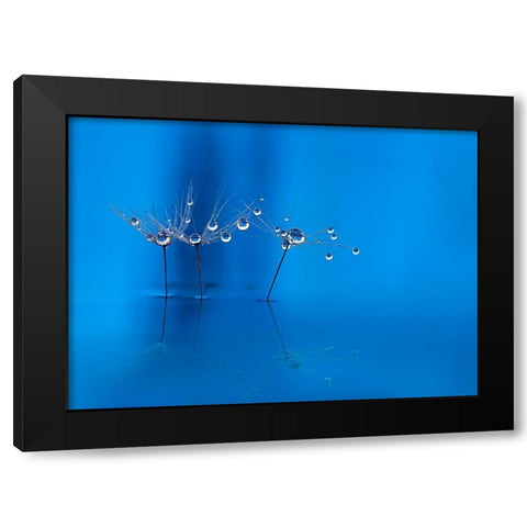 Blue Fun Black Modern Wood Framed Art Print with Double Matting by Westum, Heidi