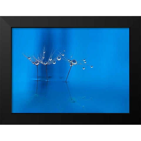 Blue Fun Black Modern Wood Framed Art Print by Westum, Heidi