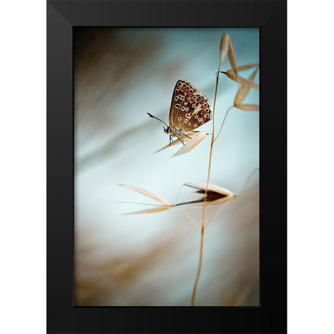 Dream In Blue Black Modern Wood Framed Art Print by BRAVIN, Fabien