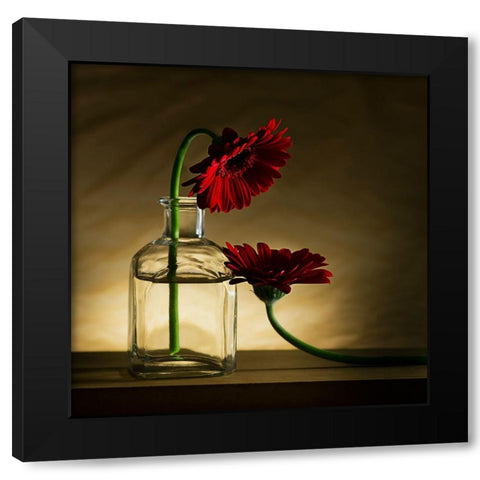 Sorry, Full... Black Modern Wood Framed Art Print by De Kogel, Wieteke