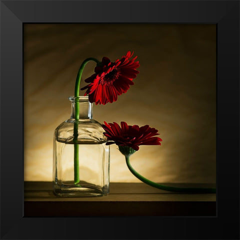 Sorry, Full... Black Modern Wood Framed Art Print by De Kogel, Wieteke