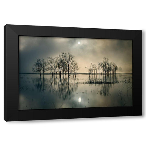 Lakes Secret Black Modern Wood Framed Art Print with Double Matting by Joanne, Flj