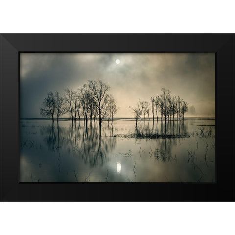 Lakes Secret Black Modern Wood Framed Art Print by Joanne, Flj