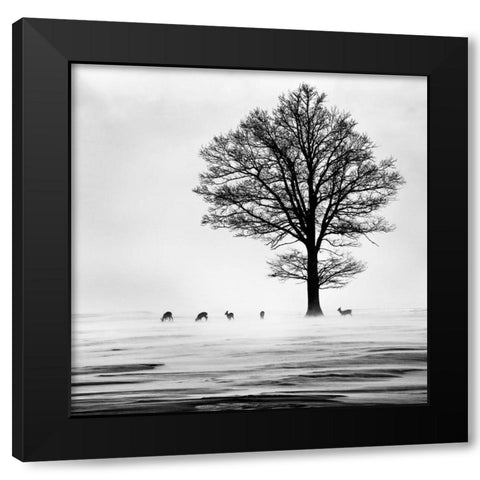 Roes Black Modern Wood Framed Art Print with Double Matting by Dansiga