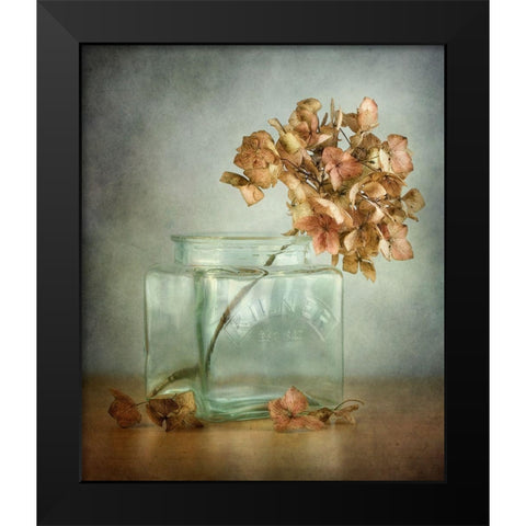 Hydrangea Black Modern Wood Framed Art Print by Disher, Mandy