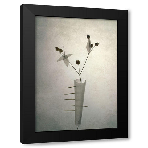 *** Black Modern Wood Framed Art Print with Double Matting by Lazarov, Dimitar