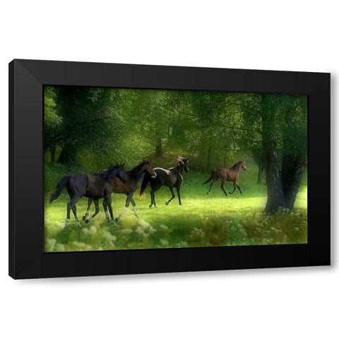Running Horses Black Modern Wood Framed Art Print with Double Matting by Wallberg, Allan