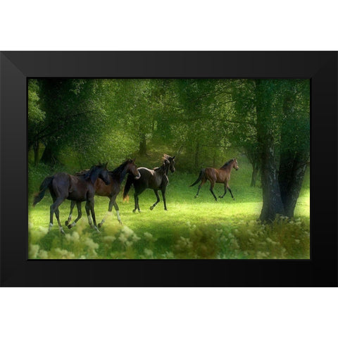 Running Horses Black Modern Wood Framed Art Print by Wallberg, Allan