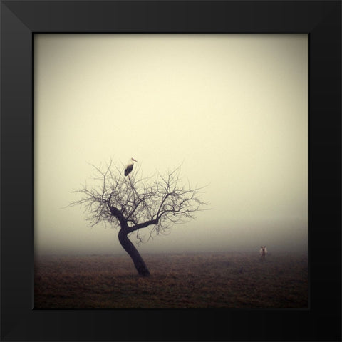 Meeting In The Morning Black Modern Wood Framed Art Print by Droste, Holger