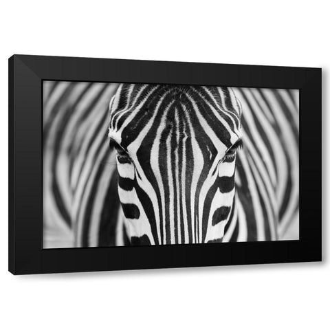 Zepra Black Modern Wood Framed Art Print with Double Matting by Alhumaid, Hesham