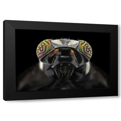 The Darth Vader Black Modern Wood Framed Art Print by Jusa, Donald