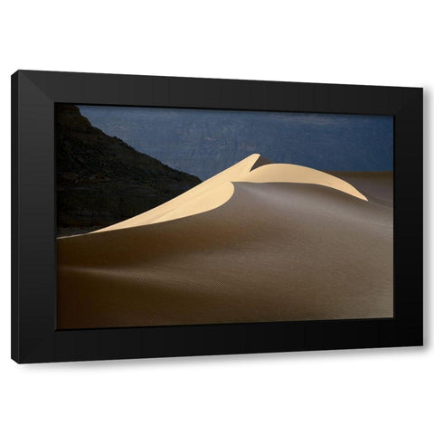 Sandy Bird Black Modern Wood Framed Art Print by Dubikovskiy, Dmitry