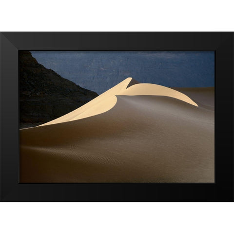 Sandy Bird Black Modern Wood Framed Art Print by Dubikovskiy, Dmitry
