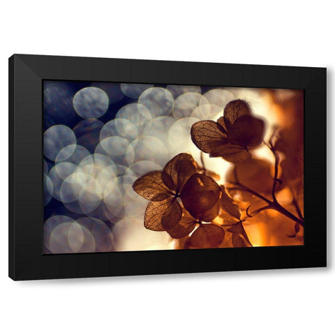 .:.:.** Black Modern Wood Framed Art Print by Lazarov, Dimitar