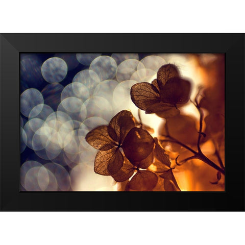 .:.:.** Black Modern Wood Framed Art Print by Lazarov, Dimitar