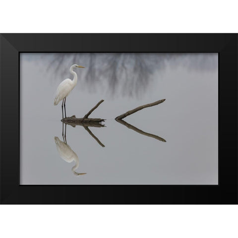 Reflections Black Modern Wood Framed Art Print by Montuori, Mauro
