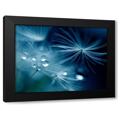 Soft Touch Black Modern Wood Framed Art Print by K.H., Adriana