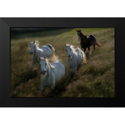 Gallop In Black Modern Wood Framed Art Print by Malovrh, Milan