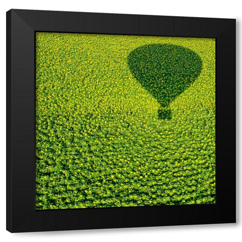 A Hundred Million Suns Black Modern Wood Framed Art Print by Revivo, Avi