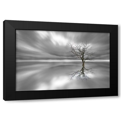 Ghost Tree Black Modern Wood Framed Art Print with Double Matting by Londal, Leif