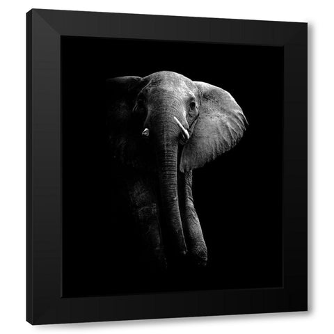 Elephant! Black Modern Wood Framed Art Print by Wildphotoart