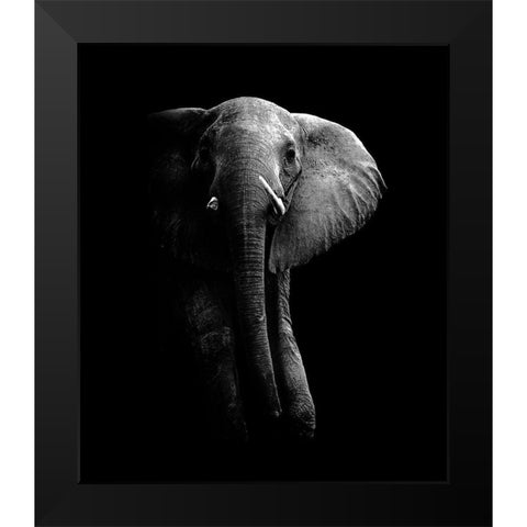 Elephant! Black Modern Wood Framed Art Print by Wildphotoart