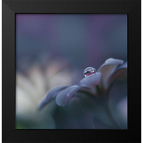 Invisible Soul... Black Modern Wood Framed Art Print by Nan, Juliana