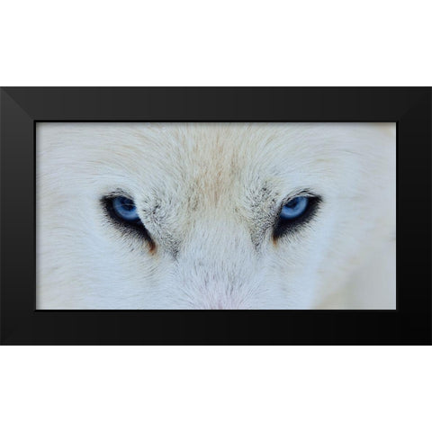Mirada Azul Black Modern Wood Framed Art Print by Angel Artus, Miquel