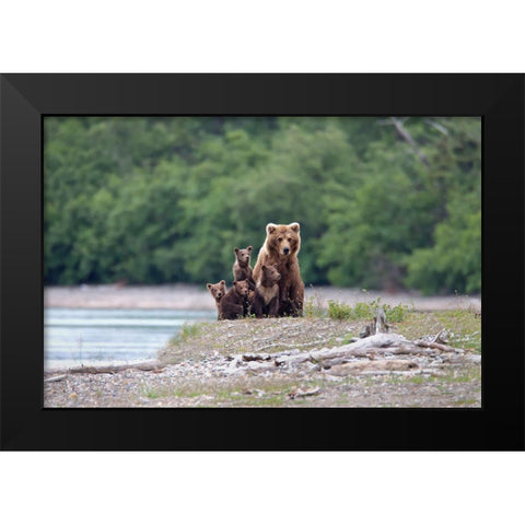 Family Affair. Black Modern Wood Framed Art Print by Stahl, Peter