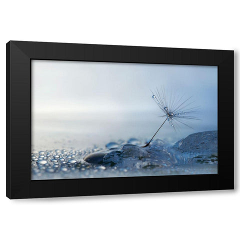 A Blue Morning Black Modern Wood Framed Art Print with Double Matting by Westum, Heidi