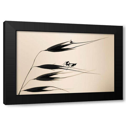Gone With The Wind Black Modern Wood Framed Art Print by Bravin, Fabien