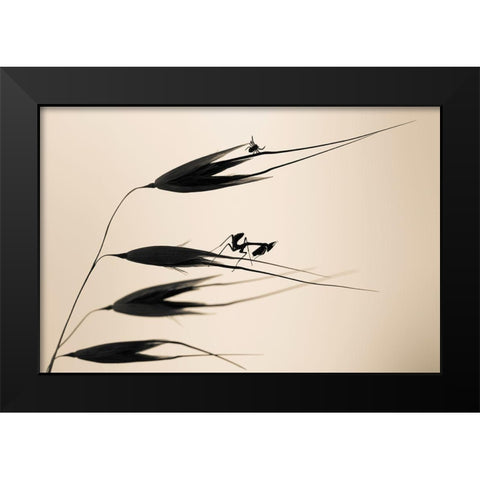 Gone With The Wind Black Modern Wood Framed Art Print by Bravin, Fabien