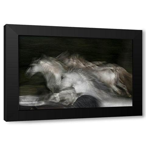 Into The Dark Black Modern Wood Framed Art Print with Double Matting by Malovrh, Milan