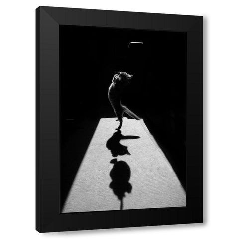 Edgar The Great Ii. Black Modern Wood Framed Art Print by Kravanja, Jure