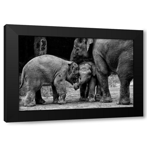 Friends Forever Black Modern Wood Framed Art Print with Double Matting by Rex, Ernest