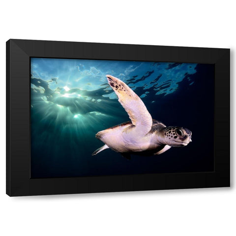 Afternoon Black Modern Wood Framed Art Print with Double Matting by Garcia, Sergi