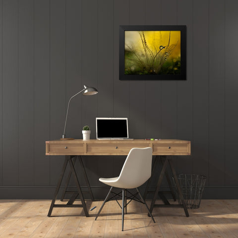 A Golden Morning Shower Black Modern Wood Framed Art Print by Westum, Heidi