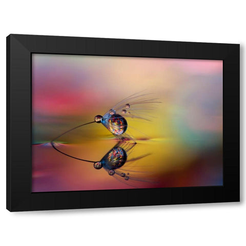 Colorize The Darkness Black Modern Wood Framed Art Print by Westum, Heidi