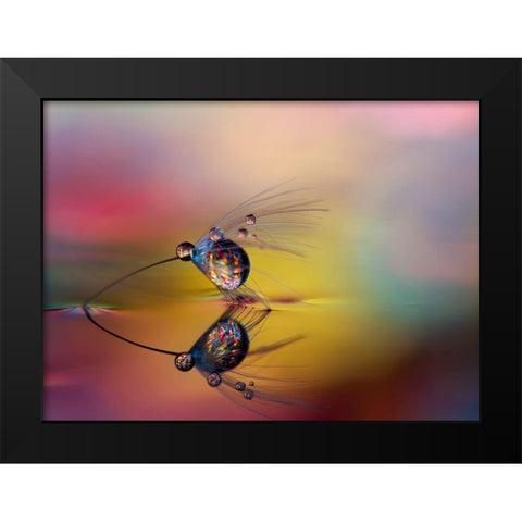 Colorize The Darkness Black Modern Wood Framed Art Print by Westum, Heidi