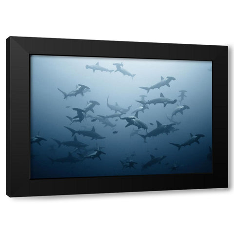 Swarming Black Modern Wood Framed Art Print with Double Matting by Safonov, Alexander