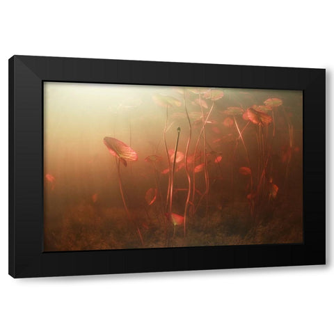 Lines World Black Modern Wood Framed Art Print by Narchuk, Andrey