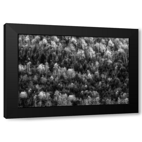 Untitled Black Modern Wood Framed Art Print with Double Matting by Ghesquiere, Hilde