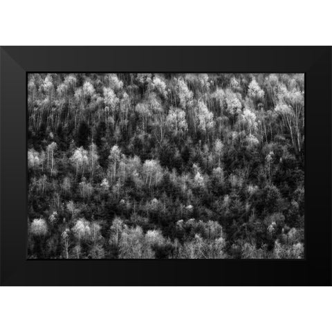 Untitled Black Modern Wood Framed Art Print by Ghesquiere, Hilde