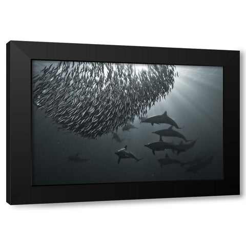 The Dark Side Black Modern Wood Framed Art Print by Safonov, Alexander