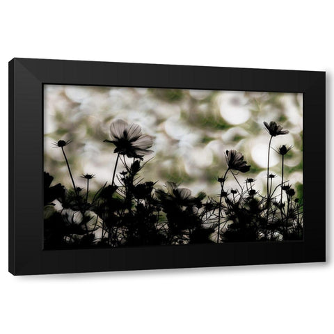 Autumn Chorus Black Modern Wood Framed Art Print by Ikeda, Keisuke