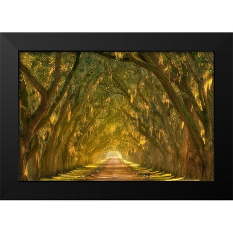 Illumination Alley Black Modern Wood Framed Art Print by Moore, Chris