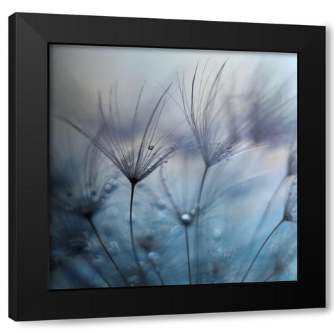 Teardrops Black Modern Wood Framed Art Print by Irthum, Mathieu