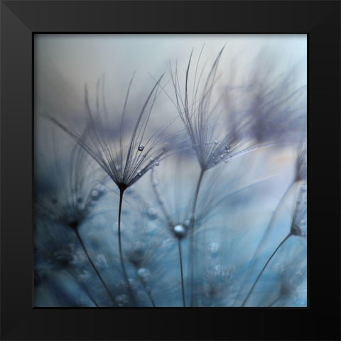 Teardrops Black Modern Wood Framed Art Print by Irthum, Mathieu